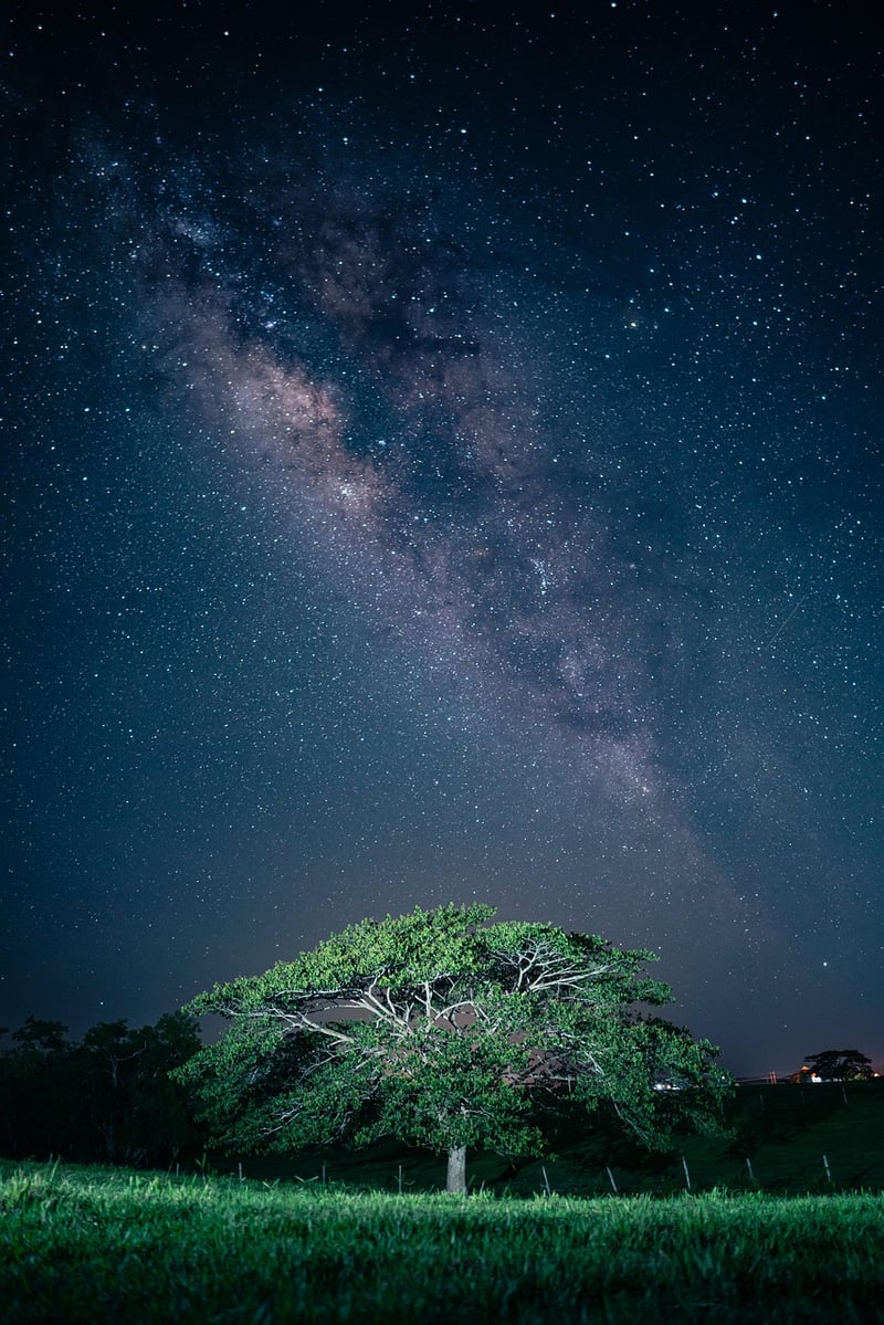 Dreamy Ambiance