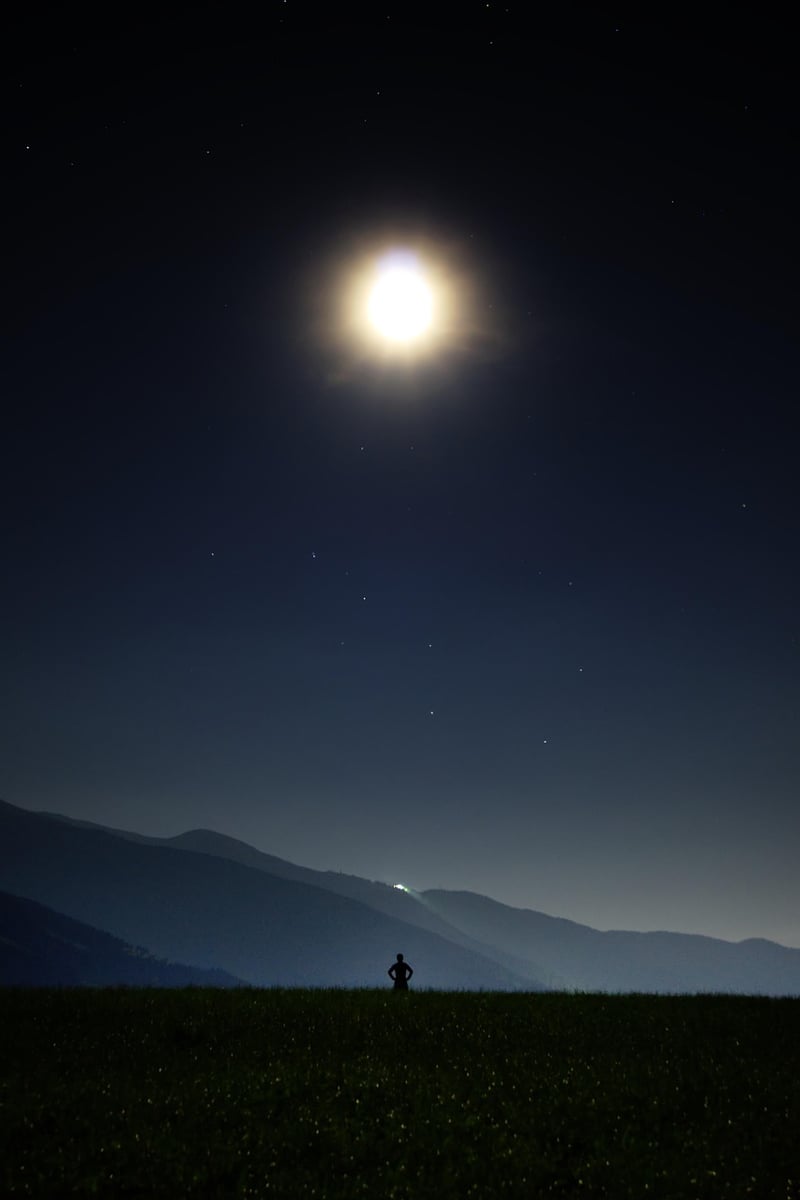 Fairytale Night Image